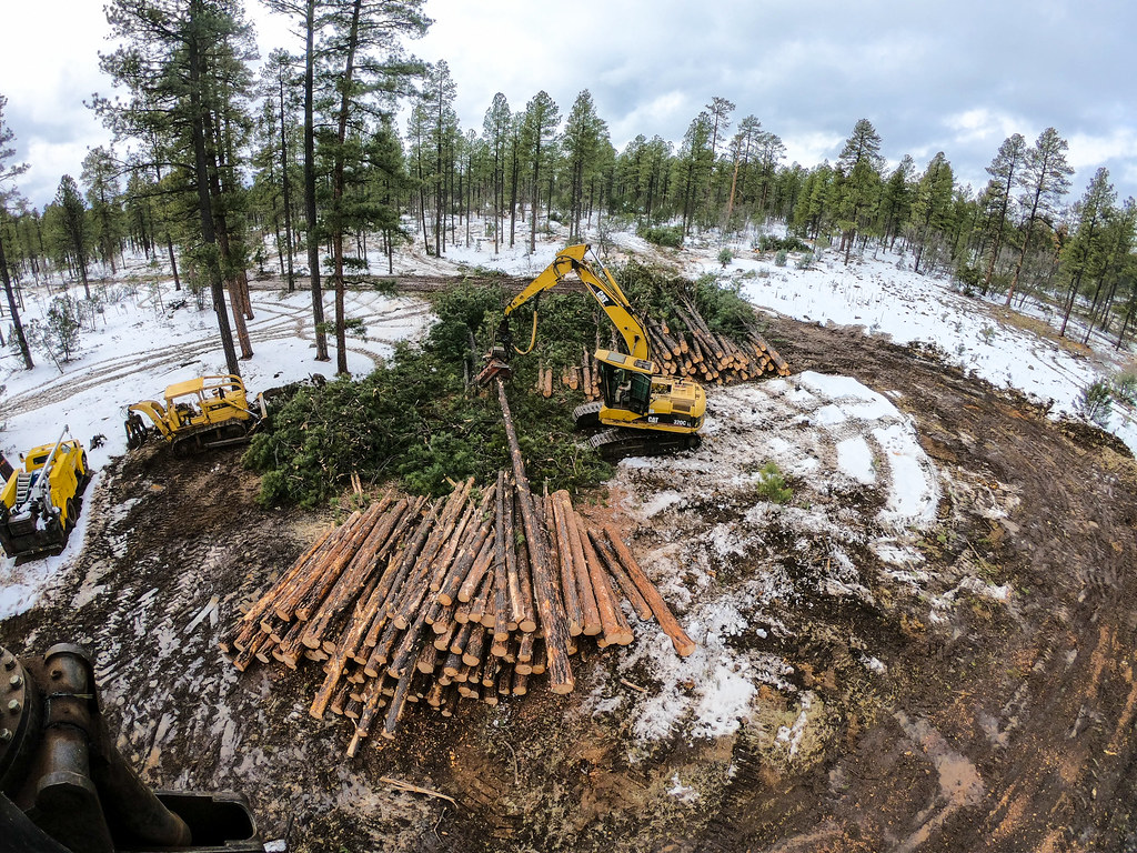 Aerial view of a harvesting site with stacked logs