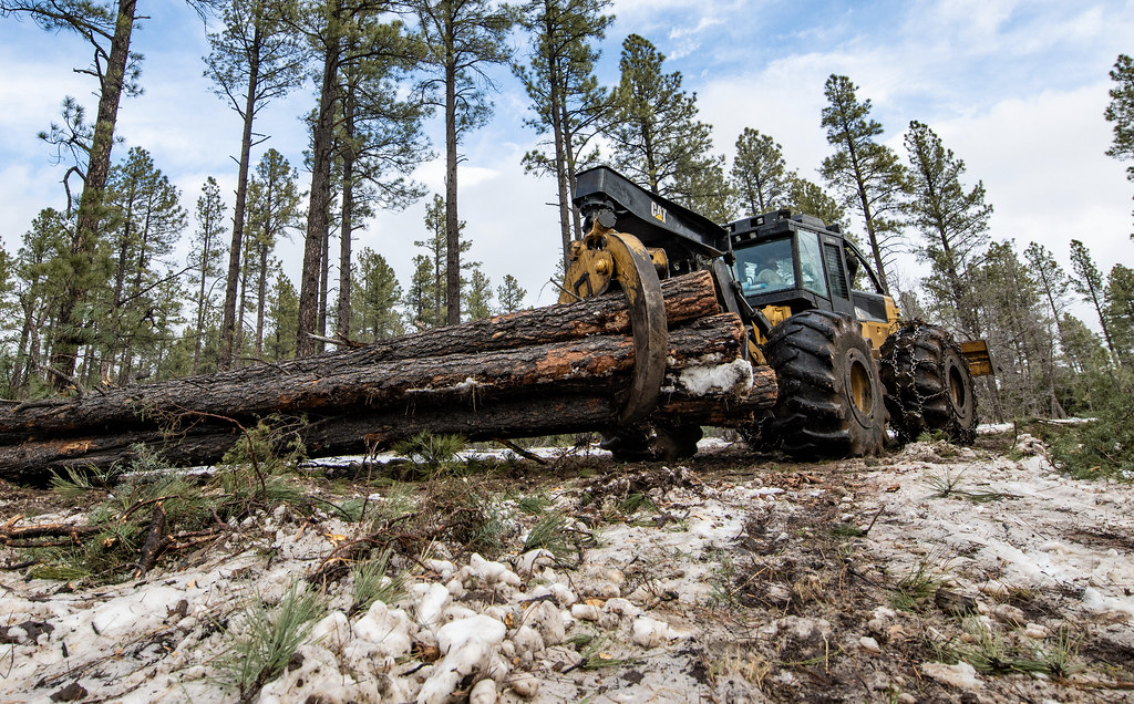 Skidder hauling logs out of the forest