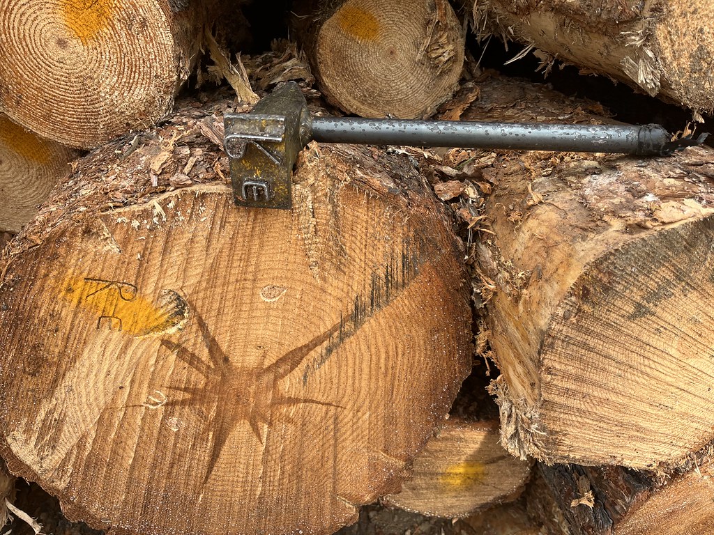 Log end with grading marks and measuring hammer