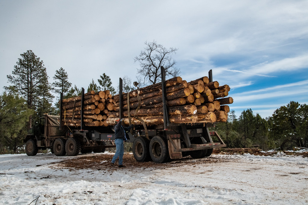 Truck loaded with logs
