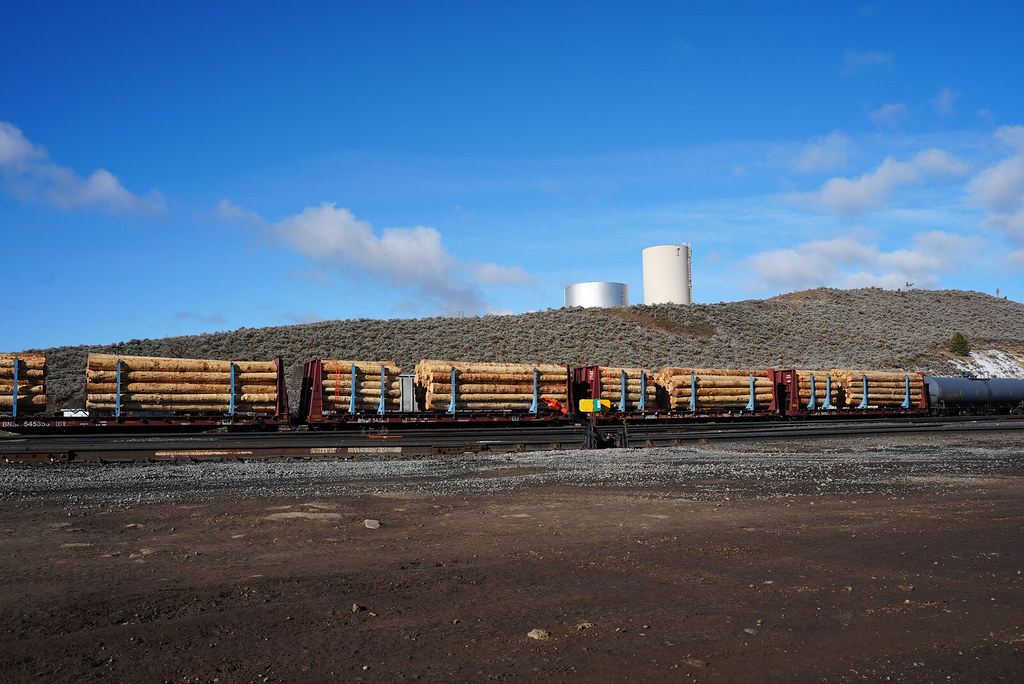 Logs loaded on rail cars for export